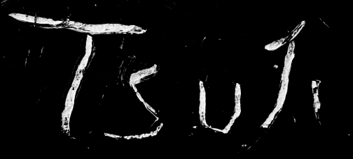 Hitonari TSUJI signature